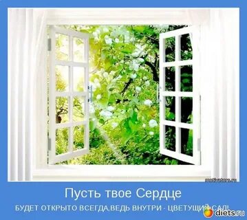 Летом целые сутки было открыто окно