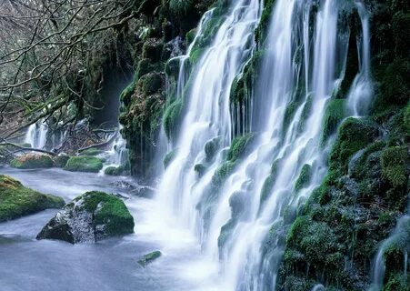 Алыми водопадами