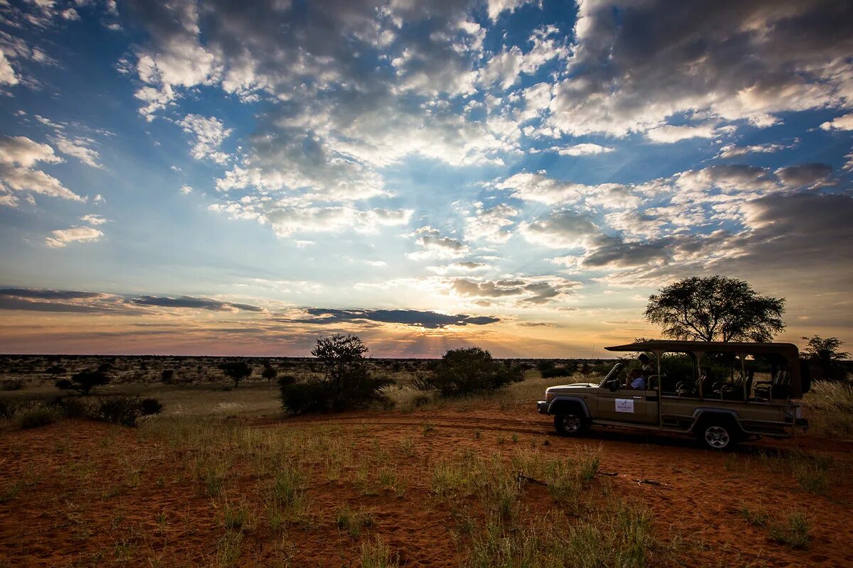 Trip africa. Калахари сафари. Намибия Калахари. Африка сафари Намибия. Калахари в Африке.