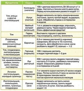Как опрыскивать деревья мочевиной осенью дозировка