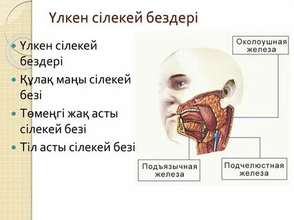 Жігіт желіде саябақта дірілдеп жатыр