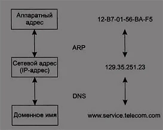 Сеть задана адресом это узел