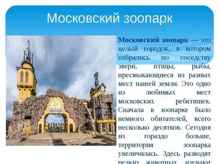 Московский зоопарк факты