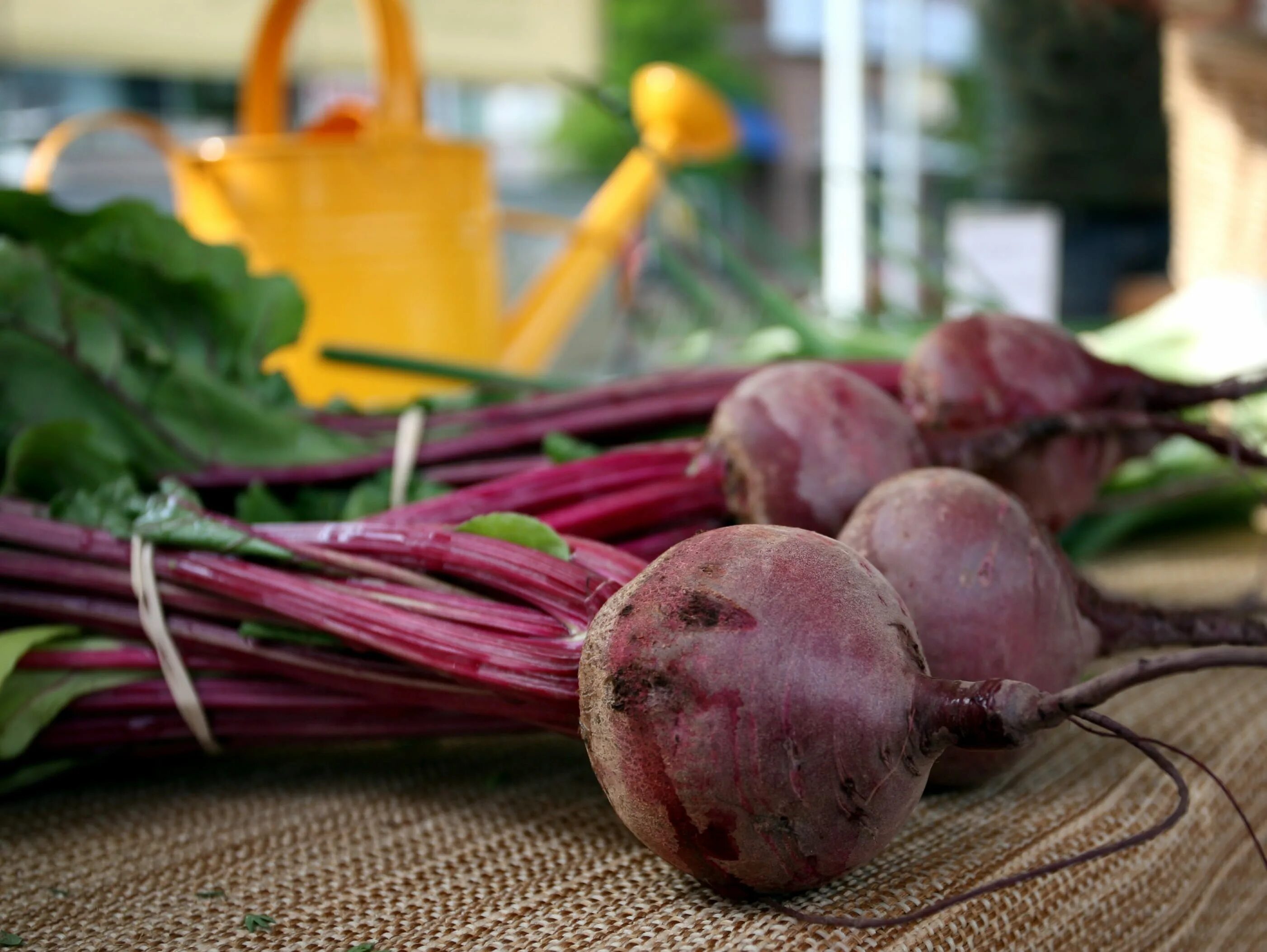 Овощи картофель. Вареные овощи в кастрюле. Запечь свёклу в мультиварке целиком. Свекла и картошка. Картошка вареная со свеклой.