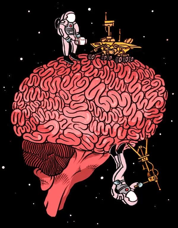 Мозги над головами. Мозг иллюстрация. Творческий мозг. Мозг рисунок. Мозг арты.