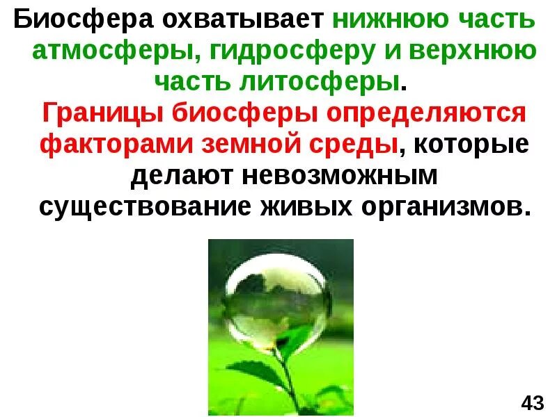 Какие оболочки охватывает биосфера. Биосфера охватывает. экология егэ. экология к егэ презентация.