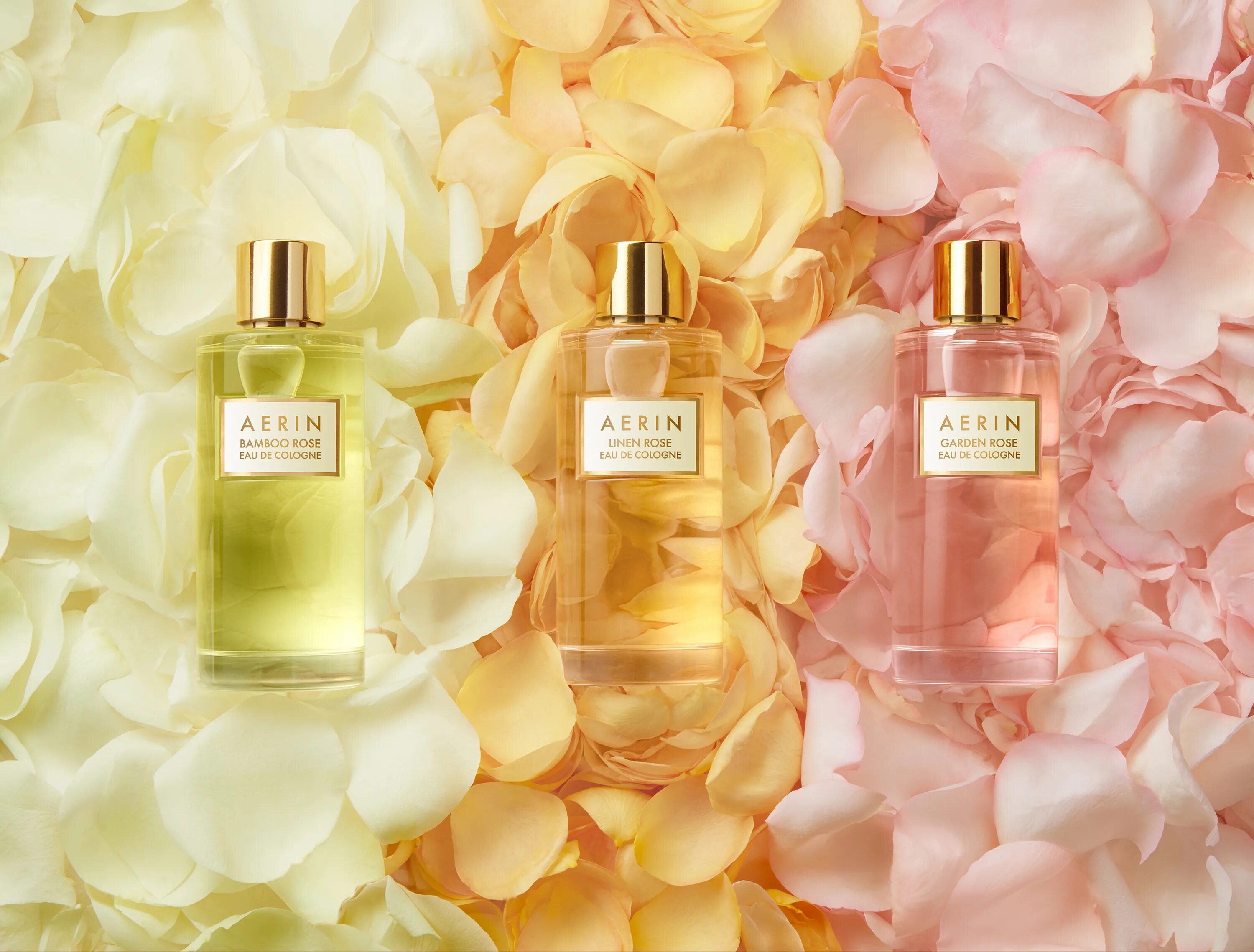 Духи женские популярные. Реклама lancome miracle blossom edp 100 ml. Духи la vie est belle bouquet de. Miss dior absolutely blooming 100ml. Микаллеф мон парфюм перл 10мл.