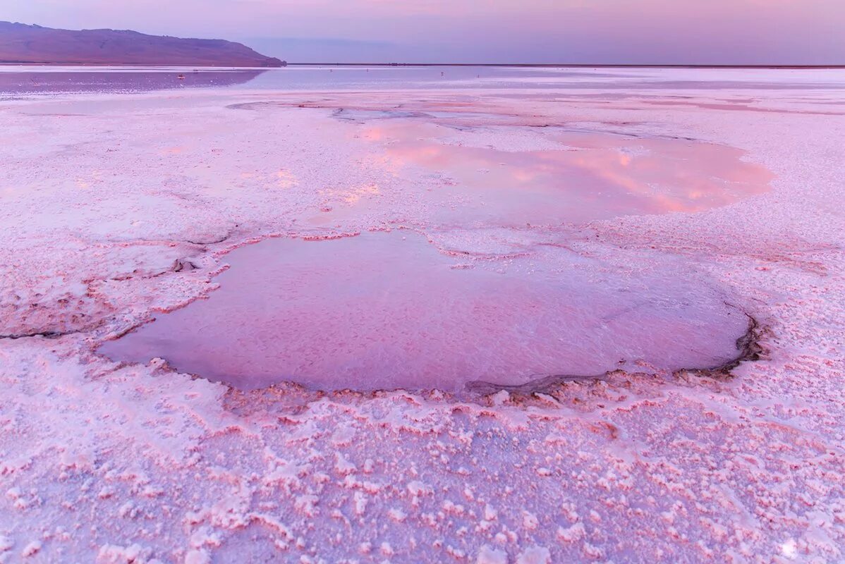 Розовый водоем в крыму. Кояшское озеро. Мыс Опук розовое озеро. Кояшское озеро озёра Крыма. Соленое розовое озеро Кояшское.