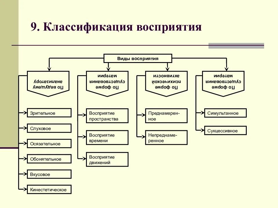 Содержание и виды восприятия. Классификация восприятия в психологии. классификация восприятия в психологии схема. классификация основных видов восприятия в психологии. классификация восприятия таблица.