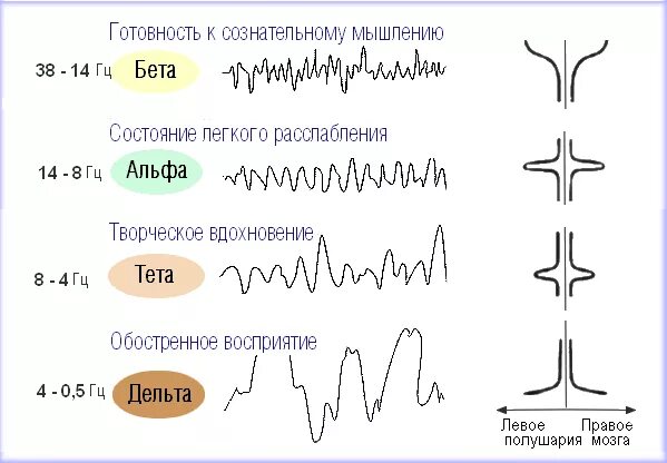 Альфа бета гамма ритмы головного мозга. Альфа ритм и бета ритм головного мозга. Волны бета Альфа тета частоты. Мозговые волны Альфа бета тета гамма Дельта.