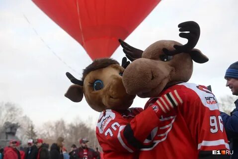 Лось автомобилист