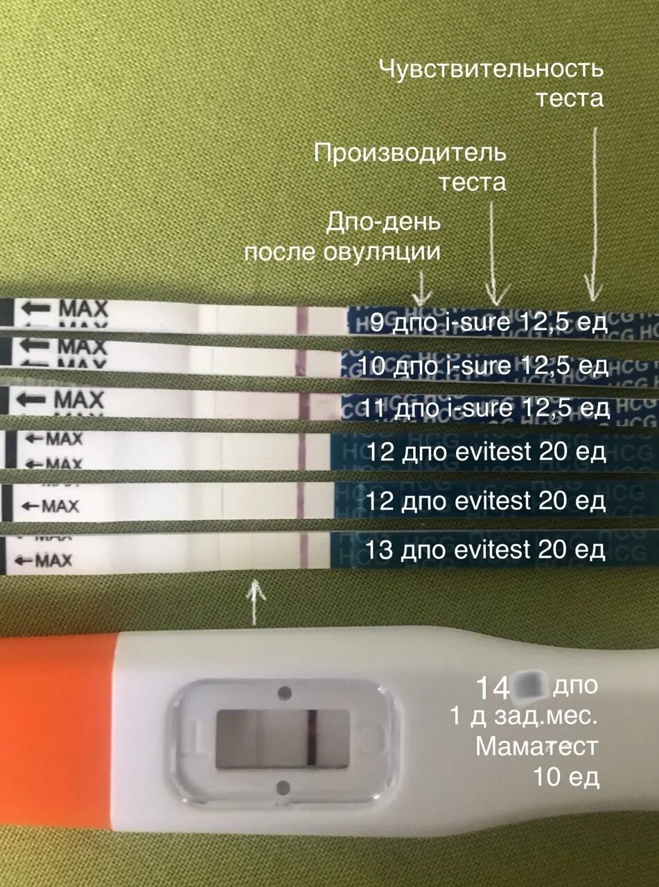 Через сколько делать тест после овуляции. Тесты дпо. 9 дпо тест. тест на 9 день после овуляции. 8 дпо тест.