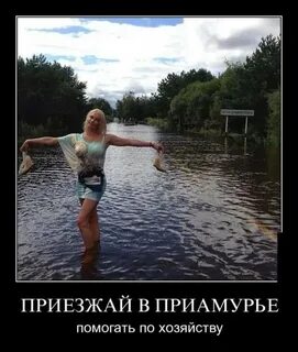 В гадюкино опять дожди картинки