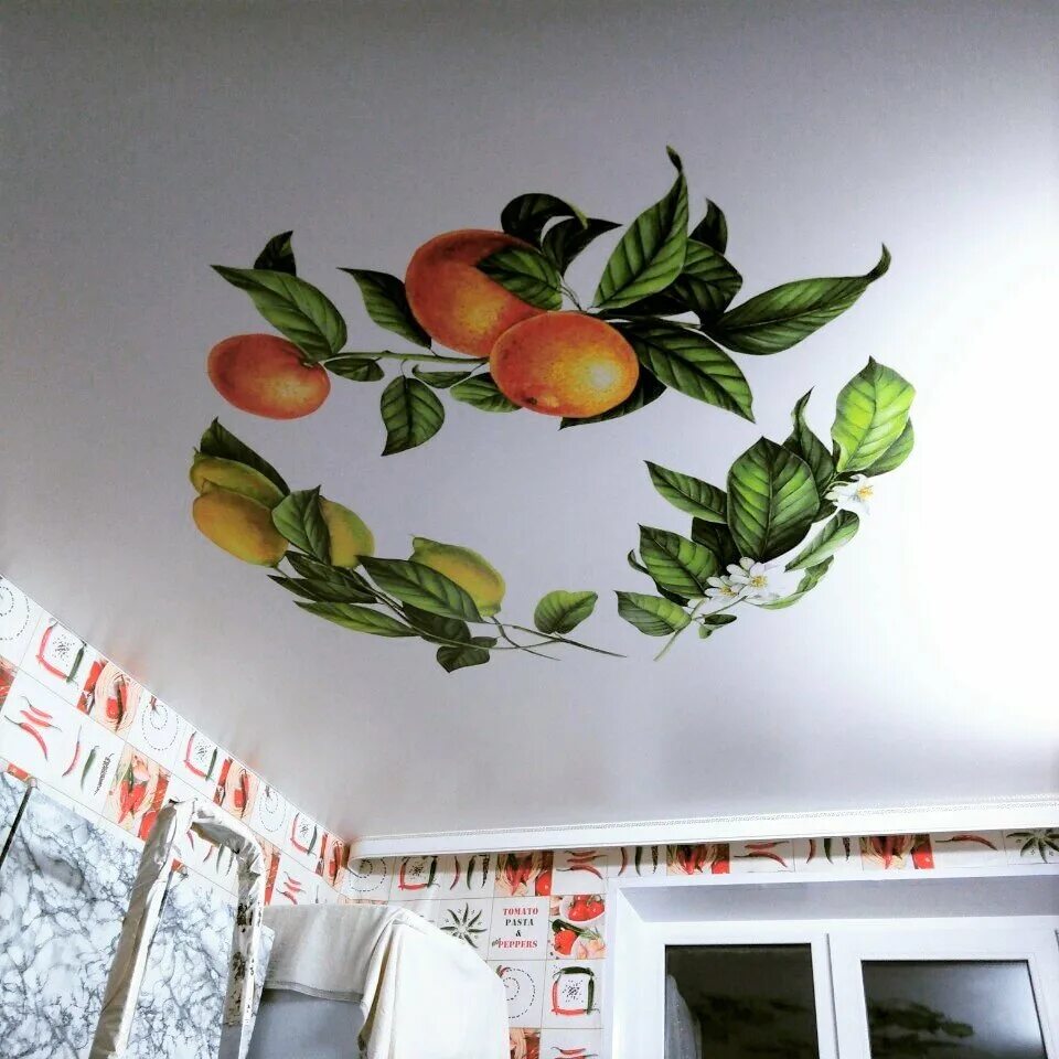 Натяжные потолки с рисунком. Рисунок на потолке. Потолок с фотопечатью на кухню. Рисунки на потолок кухни. Натяжные потолки с рисунком.