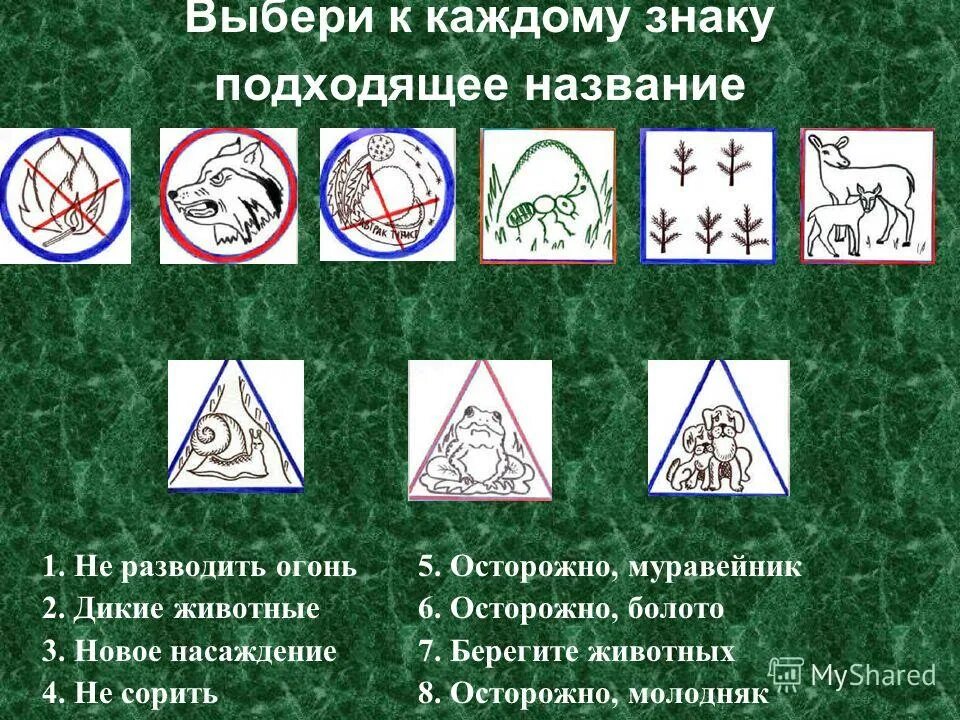 условные знаки плана болото. условный знак болото. условные обозначения на топографической карте болото. болото на карте обозначение. обозначение болот на топографической карте.