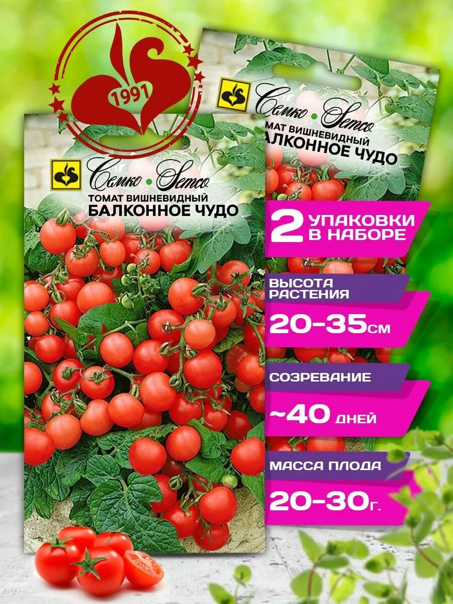 Семена томат "балконное чудо" ультраскороспелый, низкорослый, 15 шт. Семена черри балконное чудо семена. Томат балконное чудо отзывы. Томат балконное чудо 20шт сибирский сад. Помидоры балконное чудо отзывы.