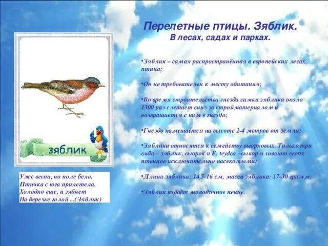 Стихи про перелетных птиц для детей