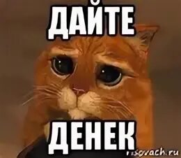 Википедию дай