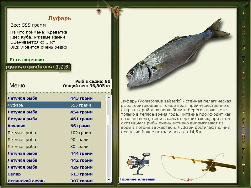 Русская рыбалка Куба. Русская рыбалка 3 7 6 черное море луфарь. Русская рыбалка меню. Анчовия русская рыбалка. Русская рыбалка 376