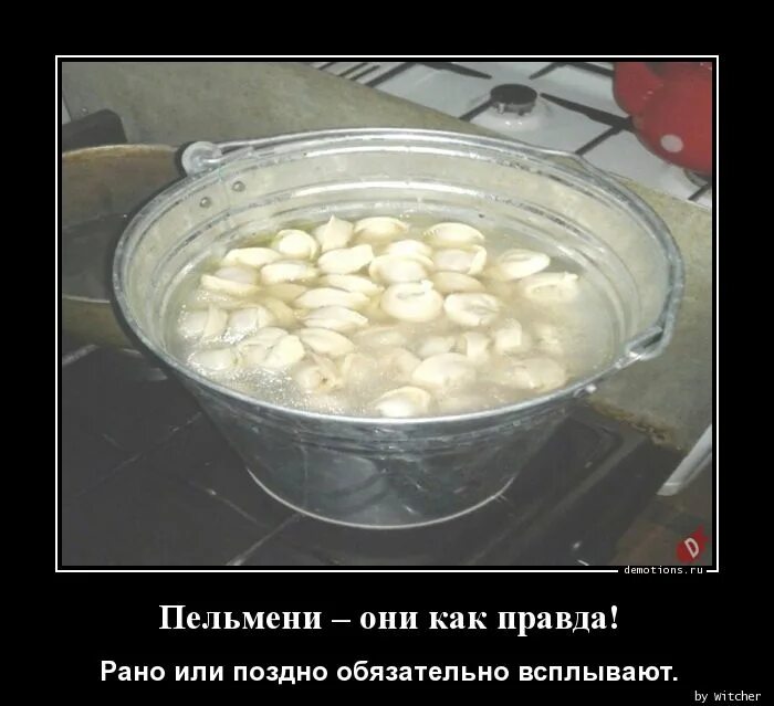 Пельмени после того как всплывут. Смешные шутки про пельмени. пельмени и к. пельмени картинки прикольные. пельмешка смешная.