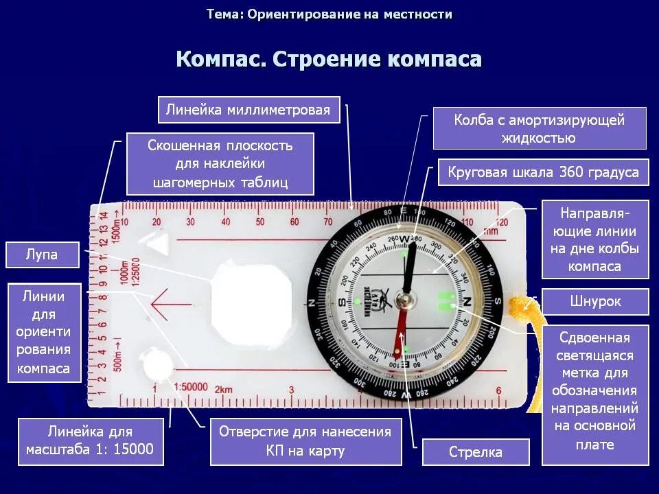 Работа с компасом 2 класс. Строение компаса. Ориентация на местности с помощью компаса и карты. Компас с градусной шкалой. Составные части компаса.