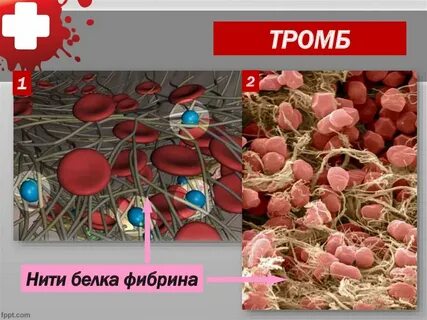 Белок в лимфе