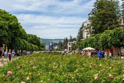 Ставрополь кисловодск