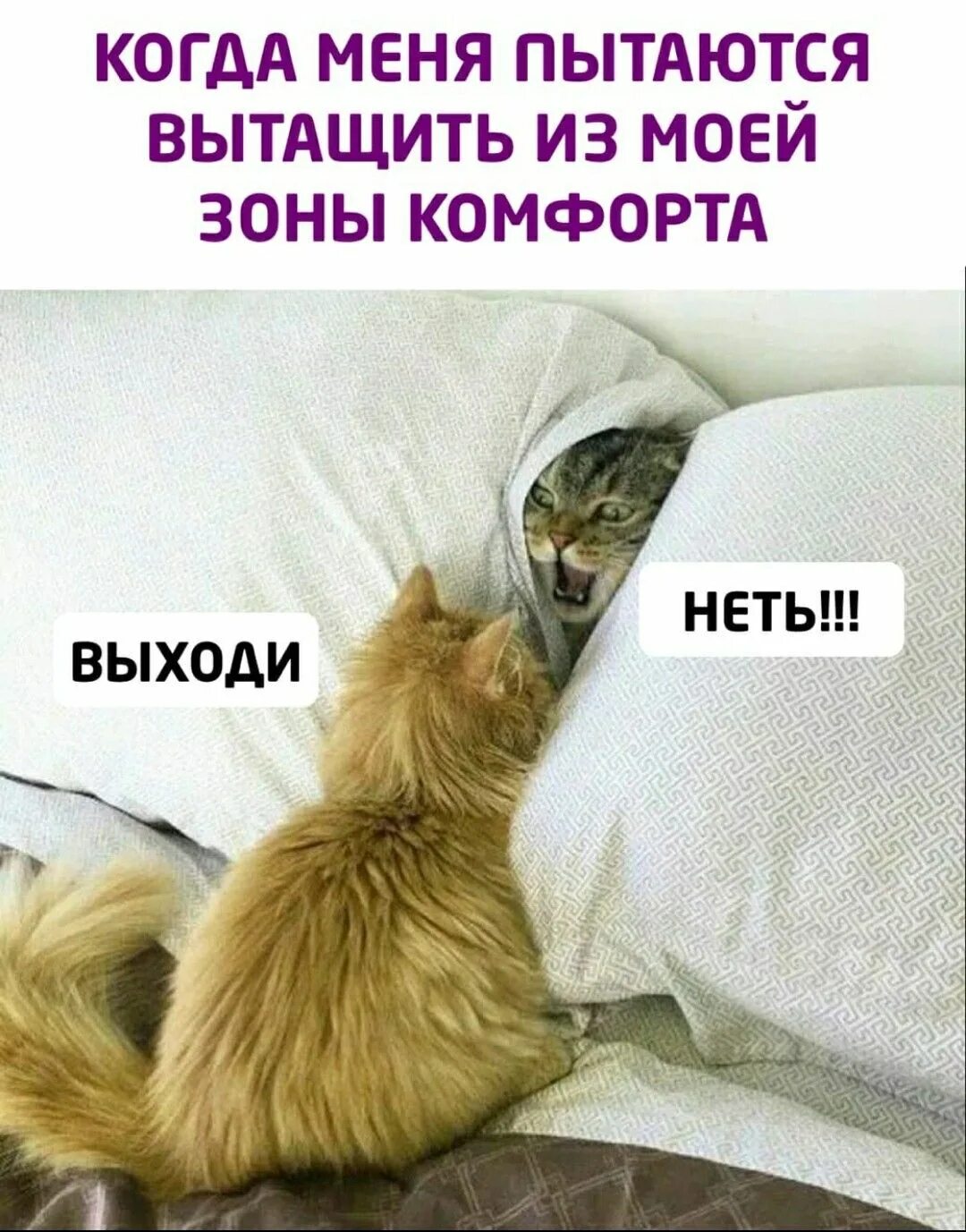 Он пытается вытащить