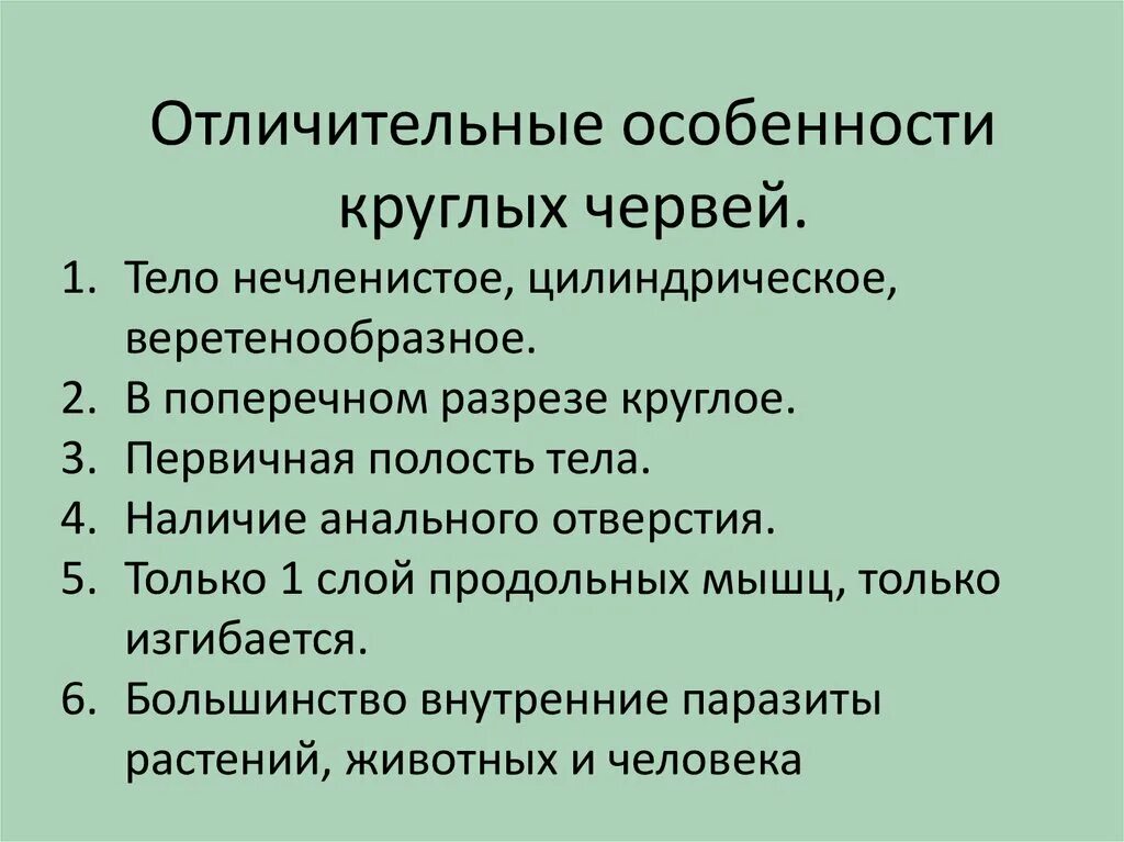 Три признака круглых червей. Общие черты строения круглых червей. Особенности строения круглых червей. Общая характеристика круглых червей строение. Особенности строения круглых червей кратко.