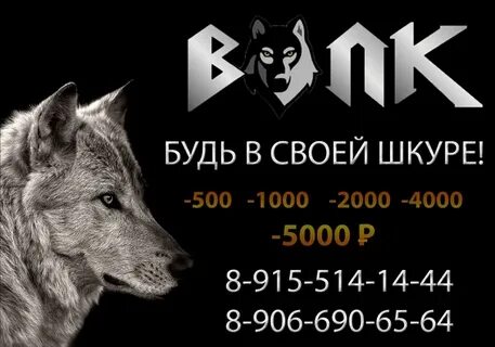 Магазин волк курск