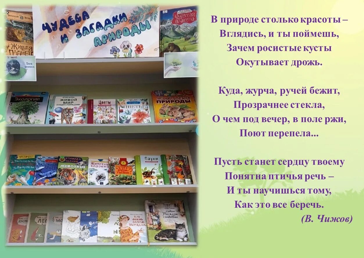 Выставка цитаты. Книжная выставка для малышей. библиотечные книжные выставки. книжные выставки в библиотеке. интересные книжные выставки.