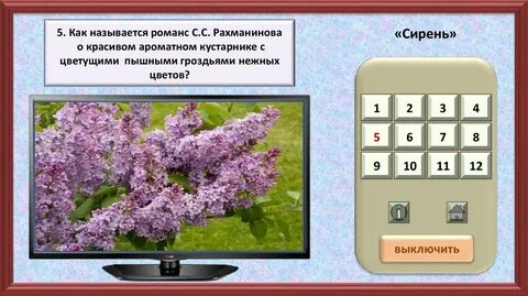 Какой образ создает романс сирень