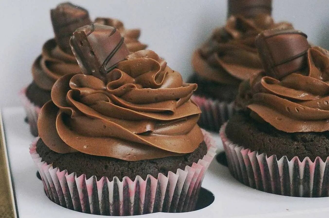 капкейки украшение. шоколад для капкейков. шоколад для капкейков. капкейки с шоколадным кремом. шоколадные капкейки с шоколадным кремом.
