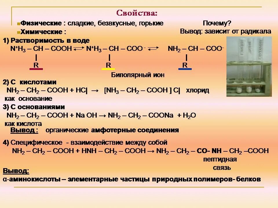 Амин ch3 ch2 ch nh2 ch3. Растворимость аминокислот в воде. растворимость аминокислот. ch3cooh растворимость. физические свойства аминов.