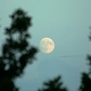 Феномен луны