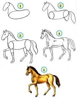 Как нарисовать лошадь (74 фото): поэтапная инструкция рисования карандашами и кр