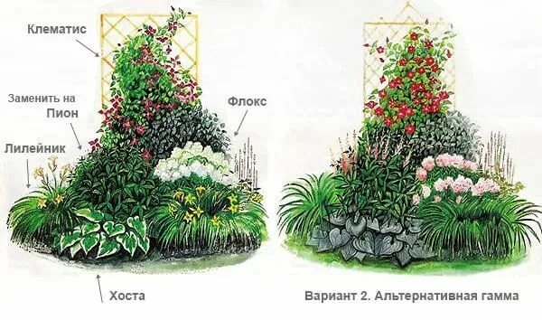 Чертеж палисадника где кусты где цветы Garden landscape design, Zen garden design, Cottage garden design