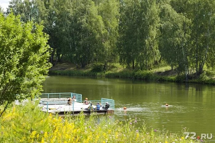 Озеро Цимлянское Тюмень. Тюмень оз Цимлянское. Озеро Цимлянское Тюмень база отдыха. Озеро Цимлянское. Онегин у озера тюмень