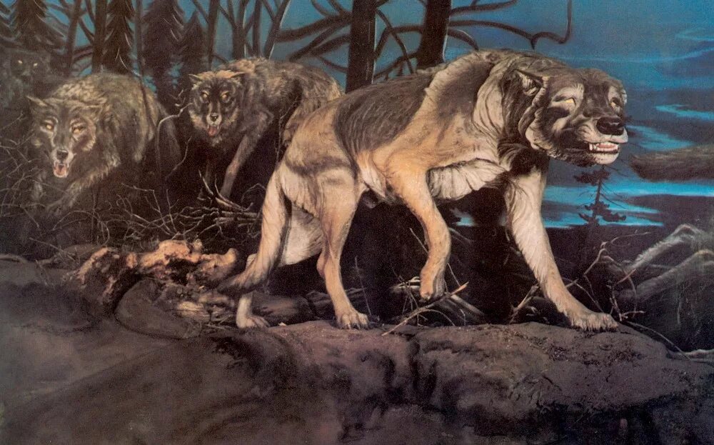 Доисторический волк canis Dirus. Aenocyon Dirus. Эпоха плейстоцена пещерный Лев.