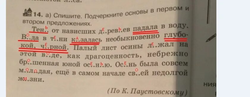 Спиши предложения подчеркни основы. Тень от нависших деревьев. В первом и втором предложениях подчеркни основу предложения. Спишите подчеркните основы в 1 во 2 предложениях. Списать 4 предложения подчеркнуть основу.