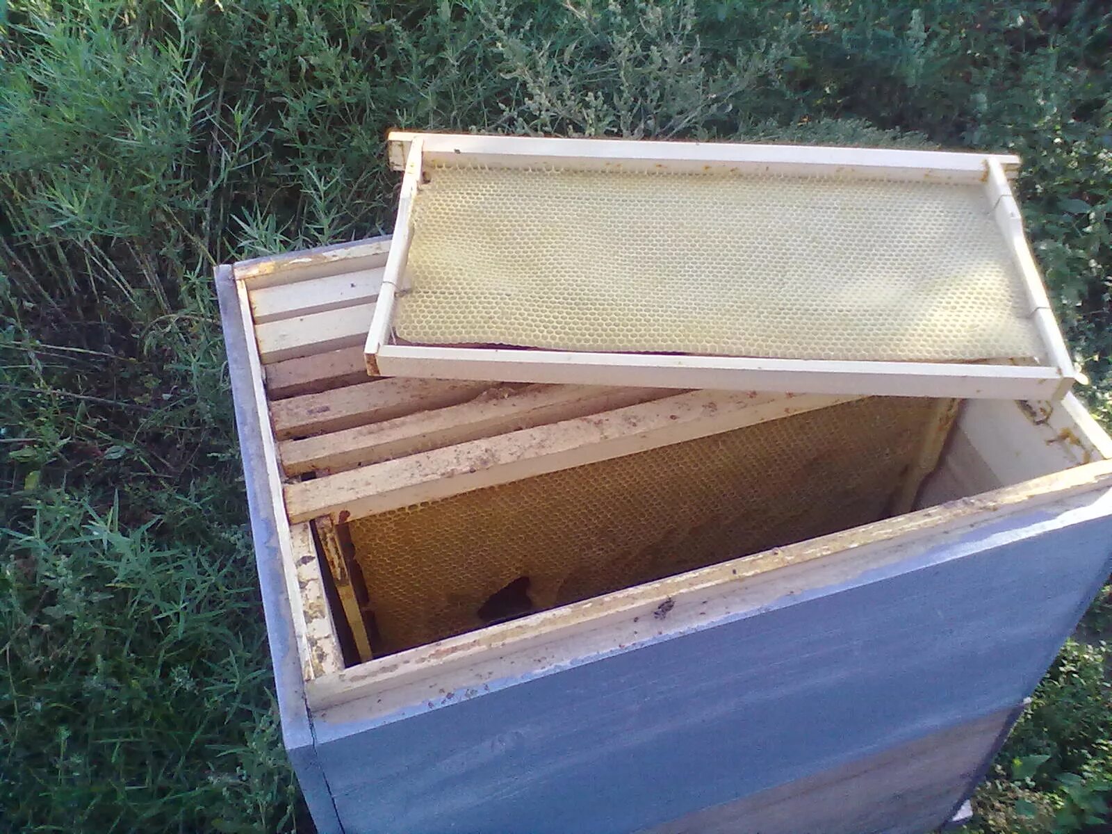 Улья для пчел из пенополистирола. Улей 12 рамочный (дадан). Улей лежак на 24. Ульи в виде домиков. Дадан блатта.