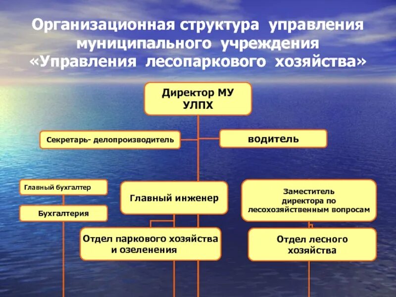 Организационная структура муниципального управления. Иерархия муниципального управления. Структура местного правления. Структура лесопаркового хозяйства.