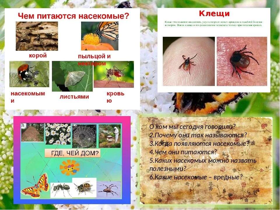 Насекомые старшая группа презентация. Вредные насекомые для дошкольников. Полезные насекомые для дошкольников. Загадки про насекомых для детей. Детям о насекомых в доу.