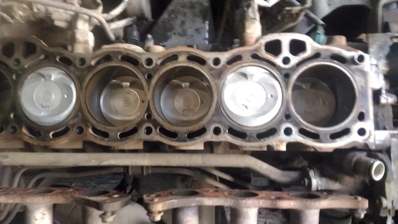 1 г фе