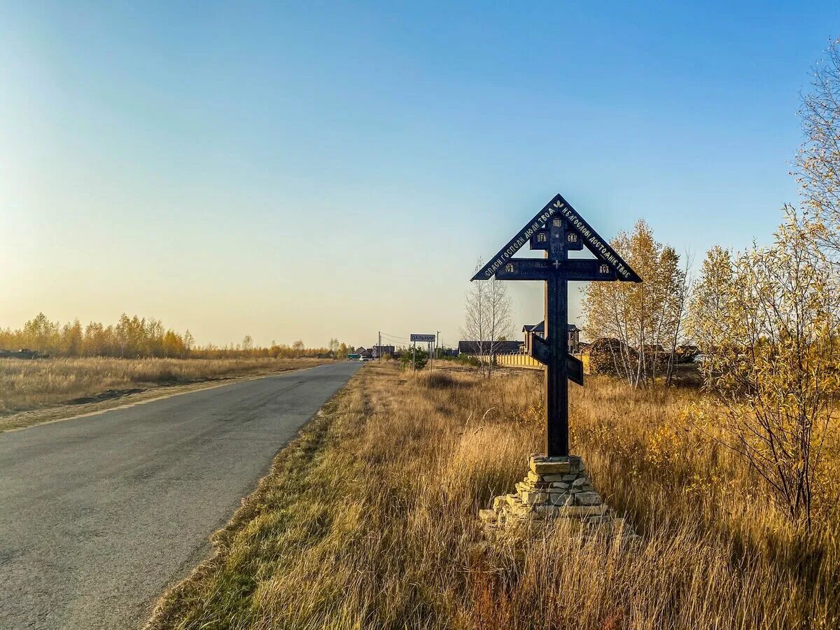 Поселок дальний. Дальний поселок Добровский район. Посёлок Дальний Липецкая область. Добровский лес Добровский район. Святой источник Добровский район.