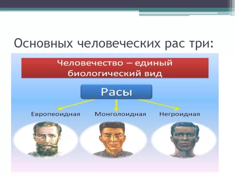 Негроидная раса. Расы география 5 класс. Расы 5 класс. Расы и народы. Расы и народы 5 класс география.