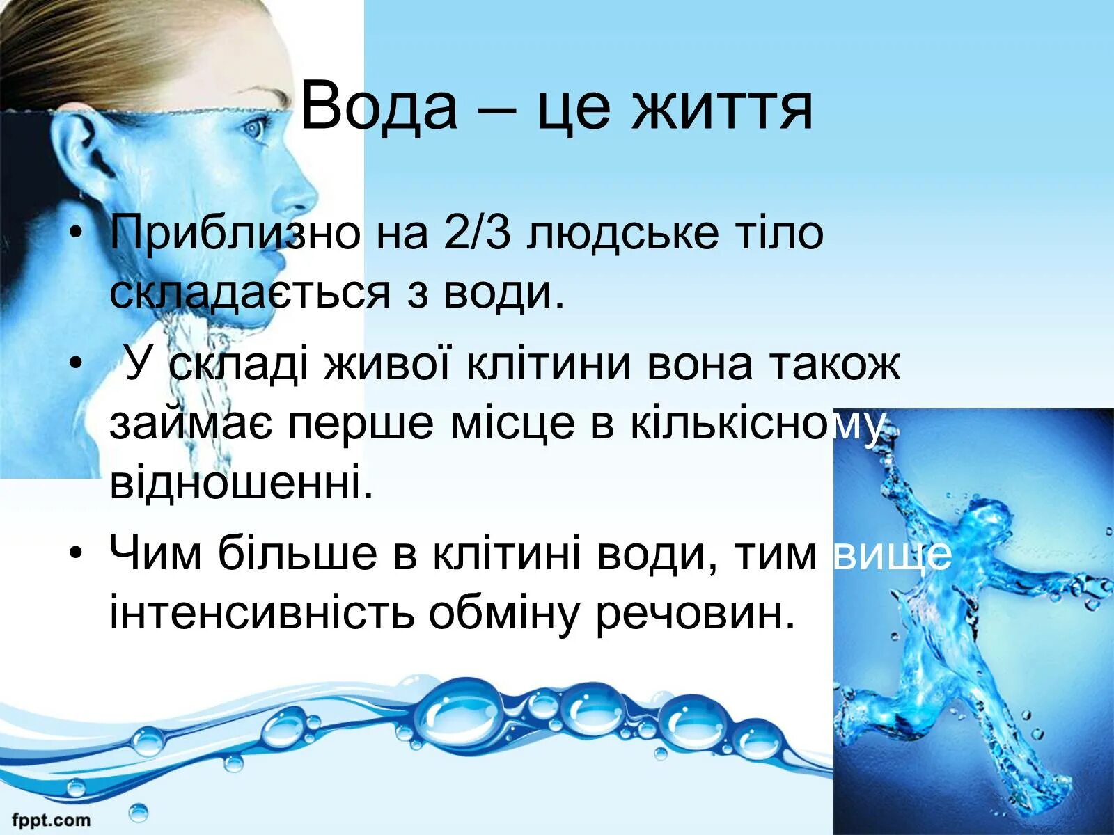 Клітини води. Одушевленная вода человек. На сколько опасна вода для человека. Где больше всего воды в человеке 10 класс биология.