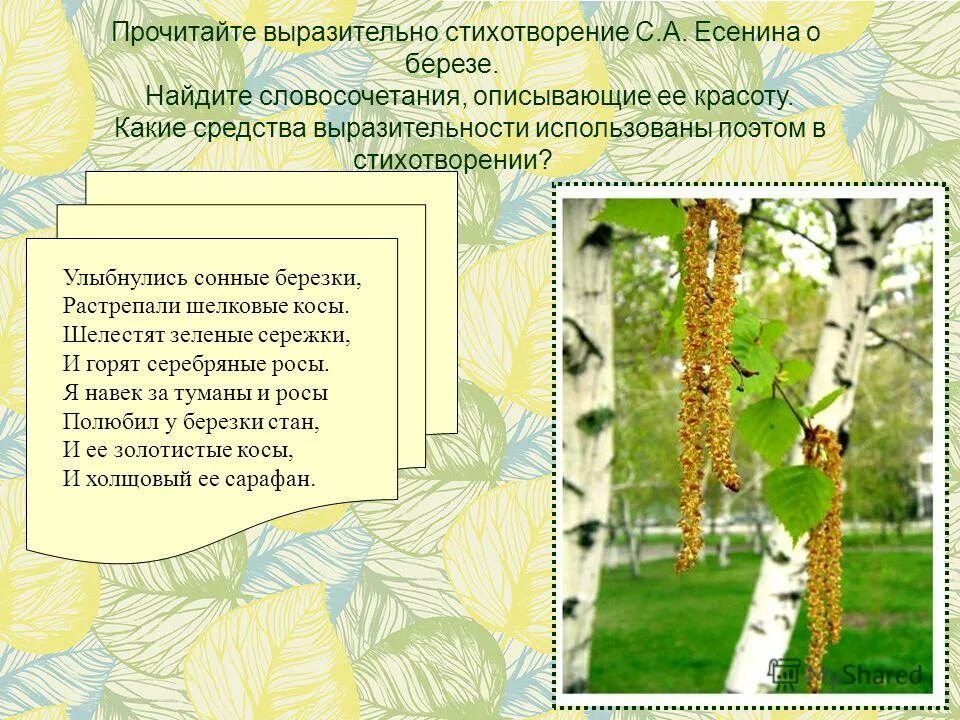 Выразительно прочитайте высказывания