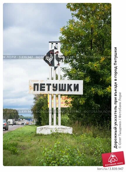 Погода петушки владимирская на месяц. Петушки Владимирская область въезд в город. Город Петушки. Дорожные знаки города Петушки. Петушки дорожный указатель.