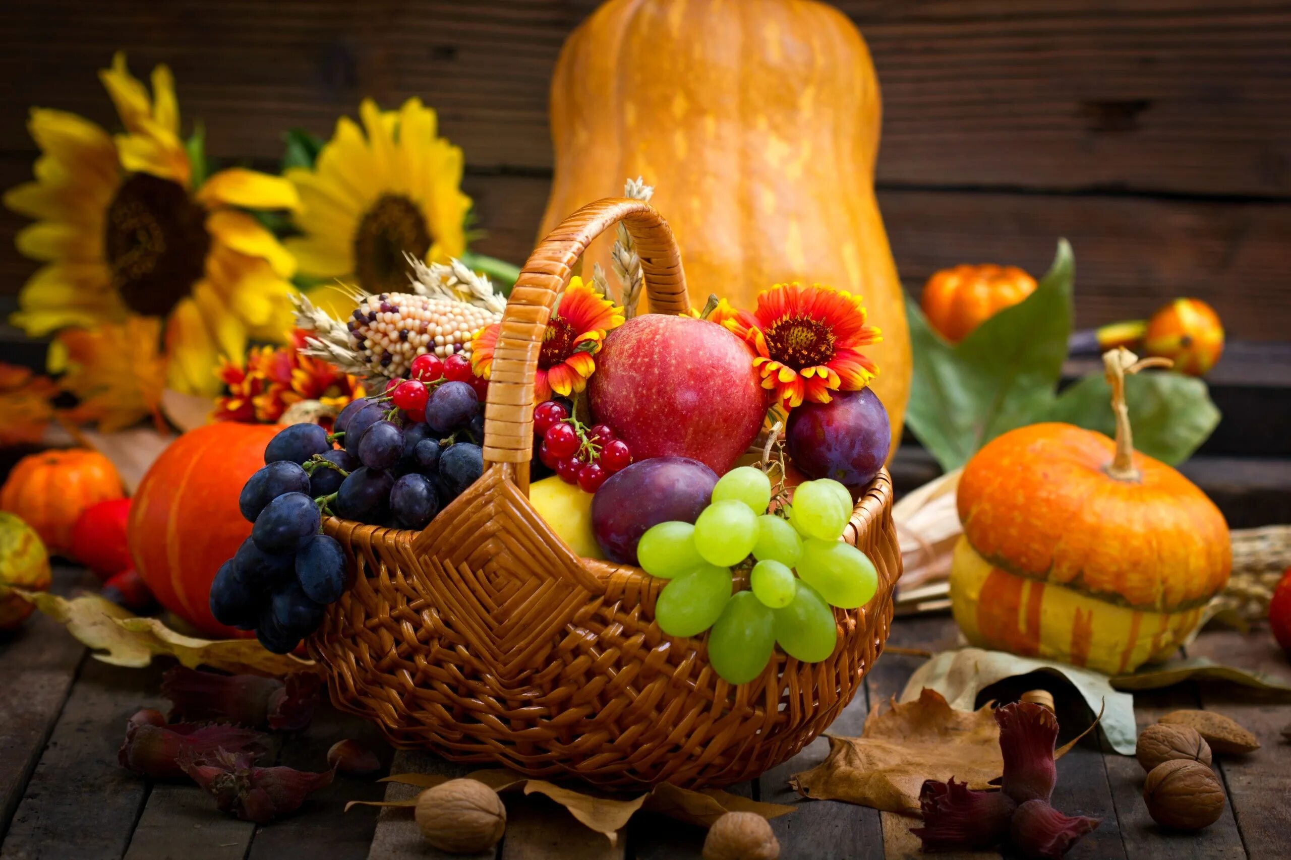 Лето время фруктов. Осенние овощи и фрукты. Осенние фрукты. Плоды осени. Дары осени.